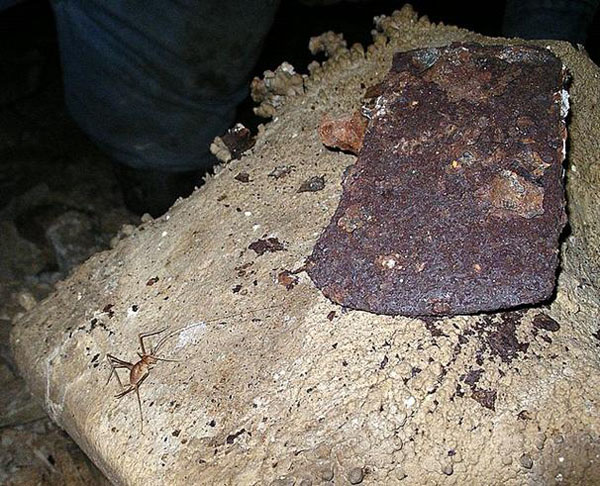 Photo of a rusted axe head resting on a rock formation, with a
							cricket at lower left