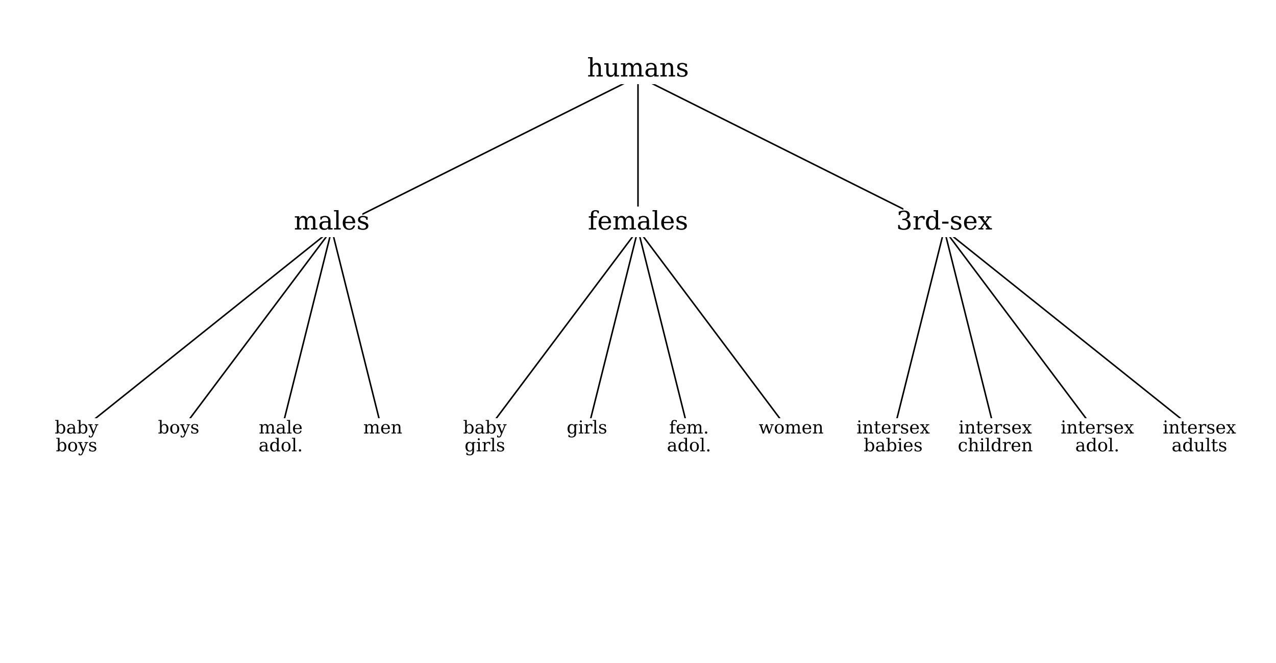 A tree diagram showing the category of humans subdivided into males, females, and 3rd-sex, with additional subdivisions by age.