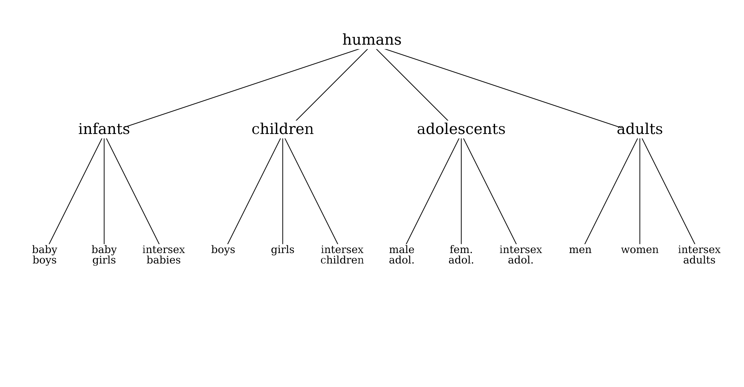 A tree diagram showing the category of humans subdivided into infants, children, adolescents, and adults, with additional subdivisions by gender.