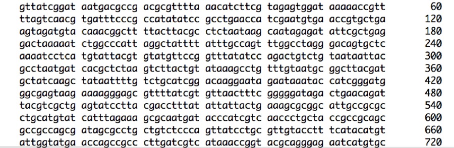 Picture from Colibase of gene text