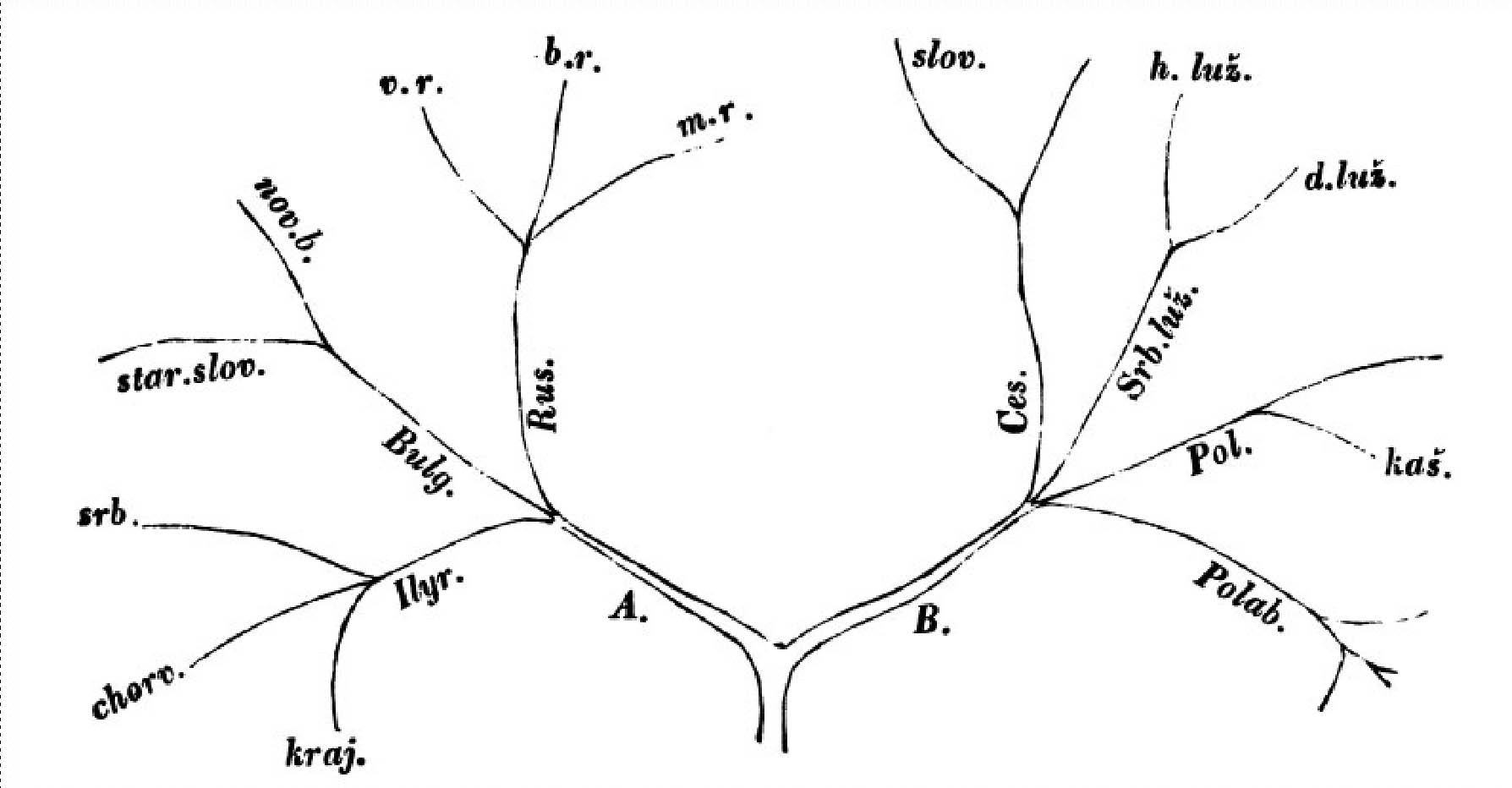A tree diagram, branches labeled with abbreviations of language
                  names