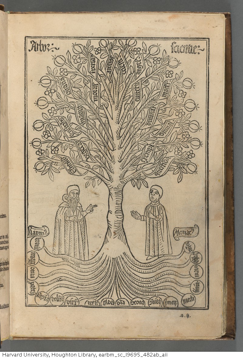 Two people standing under a tree with text woven into the roots and
                        tree branches.