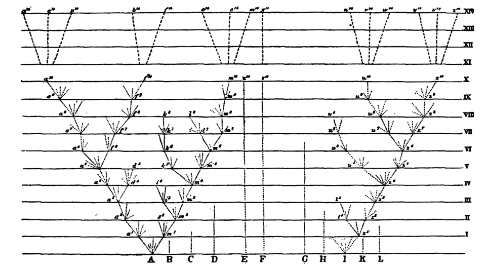 image of Darwin's sketch of speciation from Moretti's 