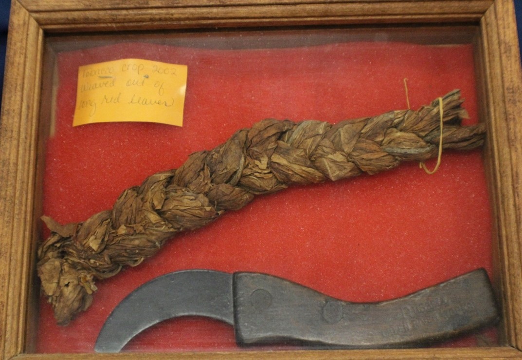 A braided tobacco leaf with a tobacoo knife.
                        