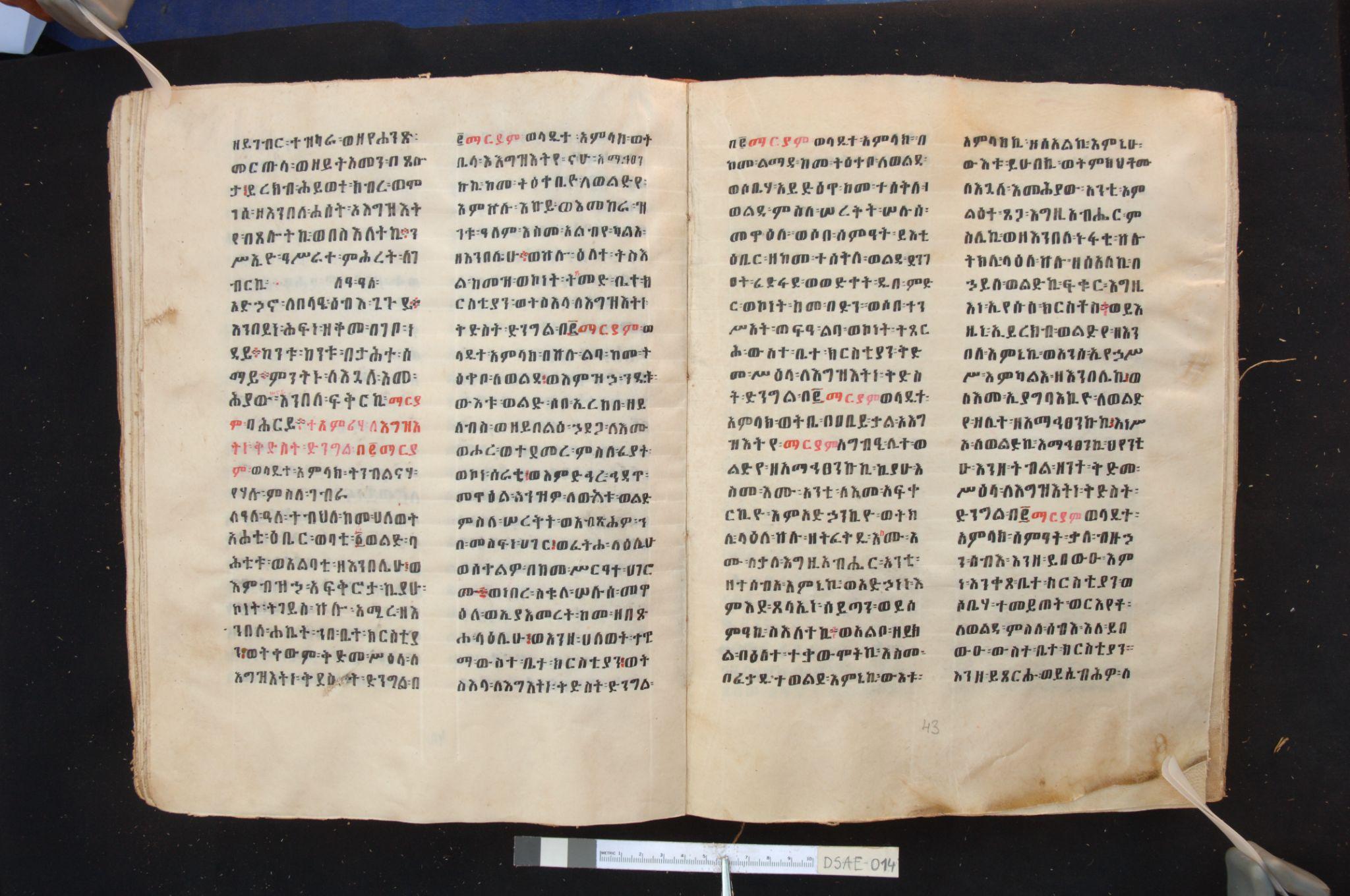 Scan of a manuscript. The text is written in Amharic and includes both
						black and red font.
