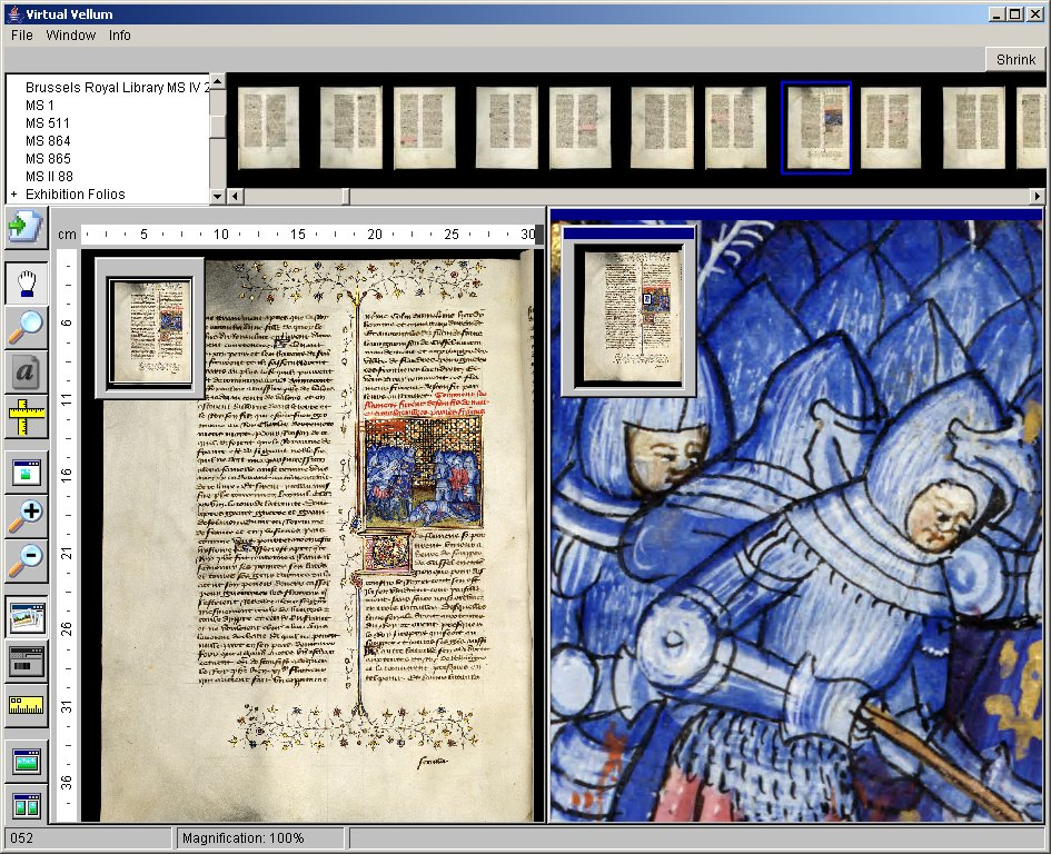 Screenshot of virtual manuscripts including more detailed inset of
                  manuscript illustration.
