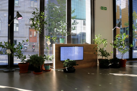 The picture shows a room with large windows and plants.