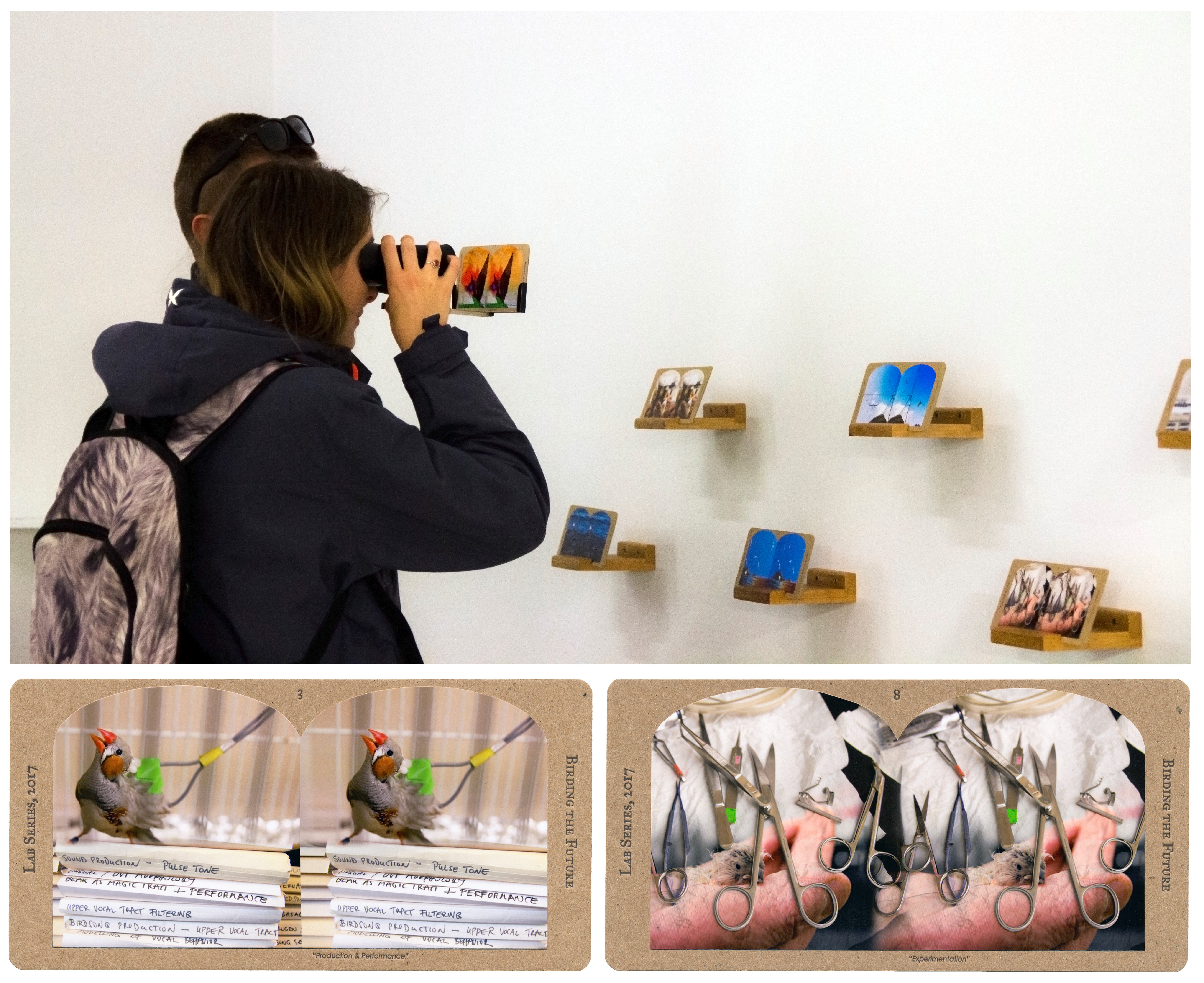 A person holds a stereoscope at an exhibit.